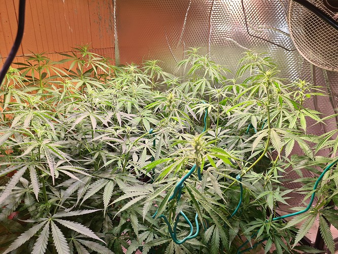 Growreport Bild 11