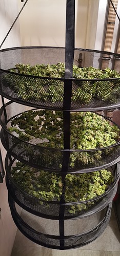 Growreport Bild 9