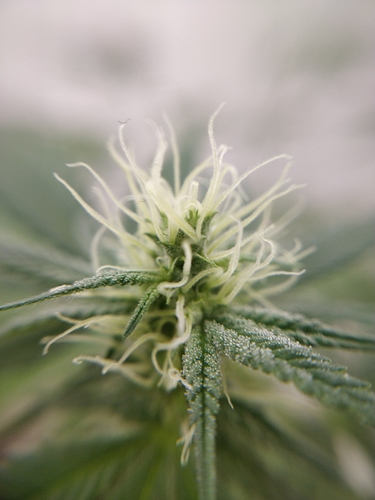 IMG_20201112_174231_003