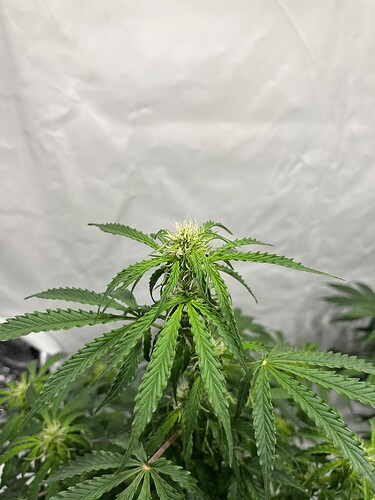 Growreport Bild 15
