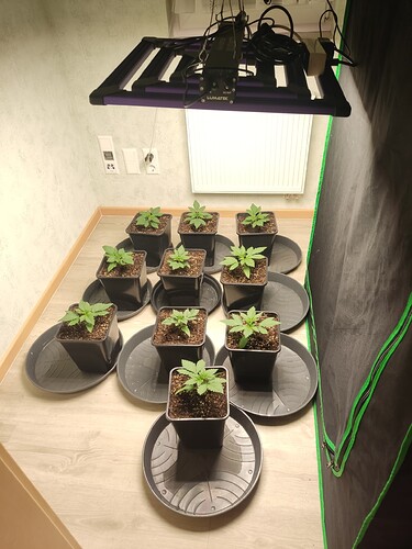 Growreport Bild 28