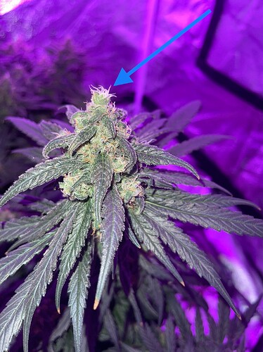 Growreport Bild 17