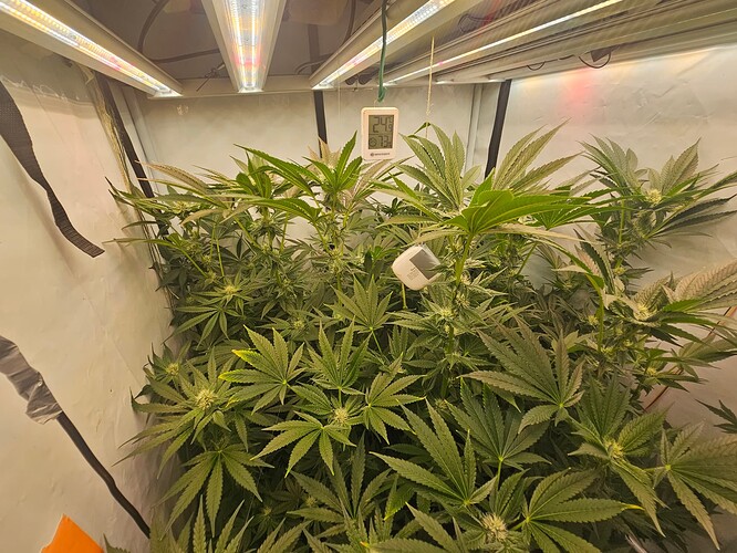 Growreport Bild 11