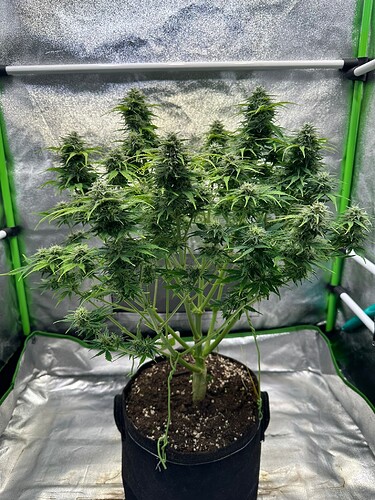 Growreport Bild 12