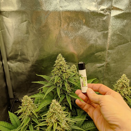 Growreport Bild 14