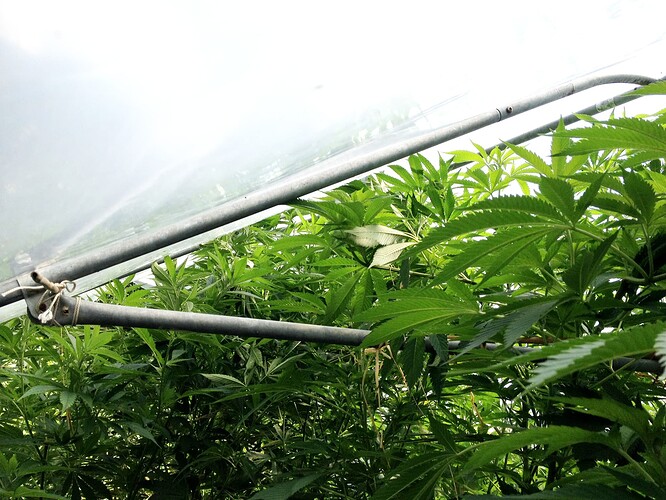 Growreport Bild 28