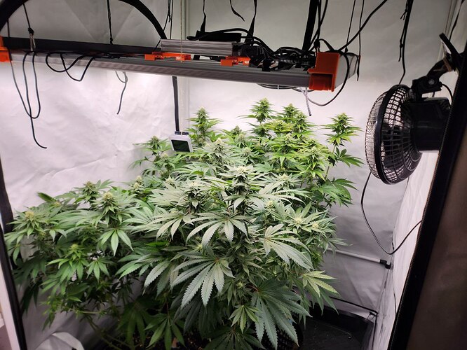 Growreport Bild 1