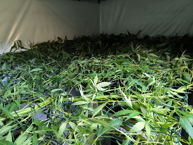 Growreport Bild 15