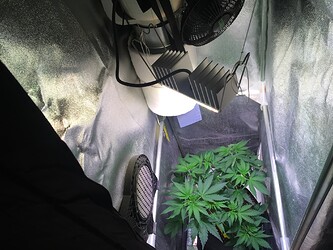 Growreport Bild 15