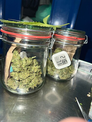 Growreport Bild 21