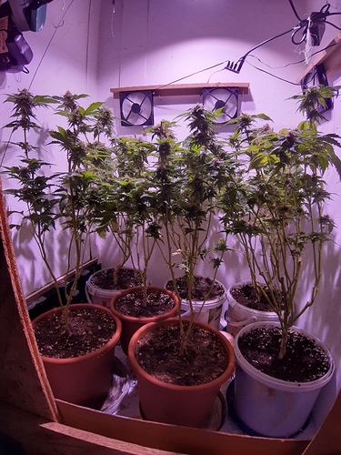 Growreport Bild 1