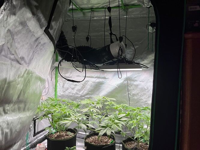 Growreport Bild 2