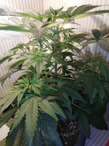 Growreport Bild 6