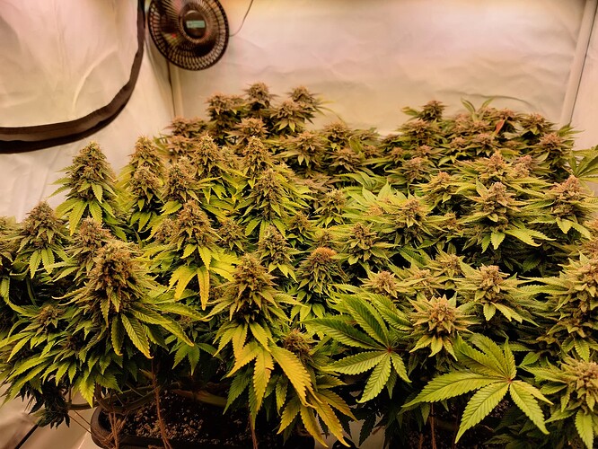 Growreport Bild 12