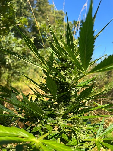 Growreport Bild 11