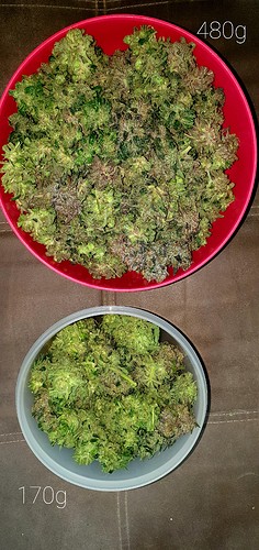 Growreport Bild 36