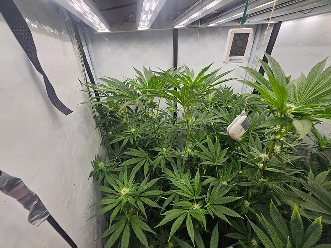 Growreport Bild 5