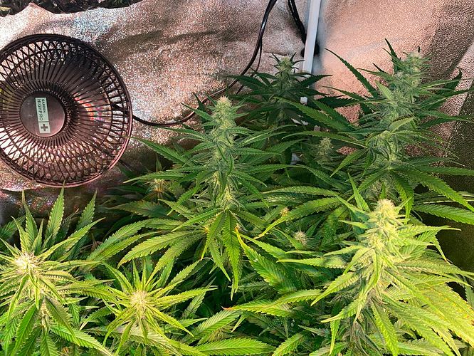 Growreport Bild 23