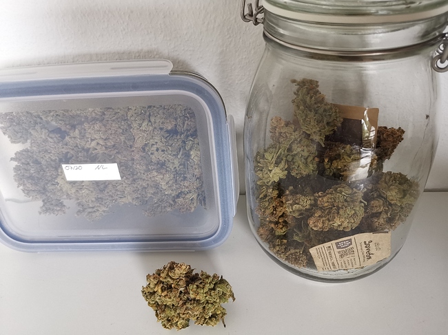 Growreport Bild 7