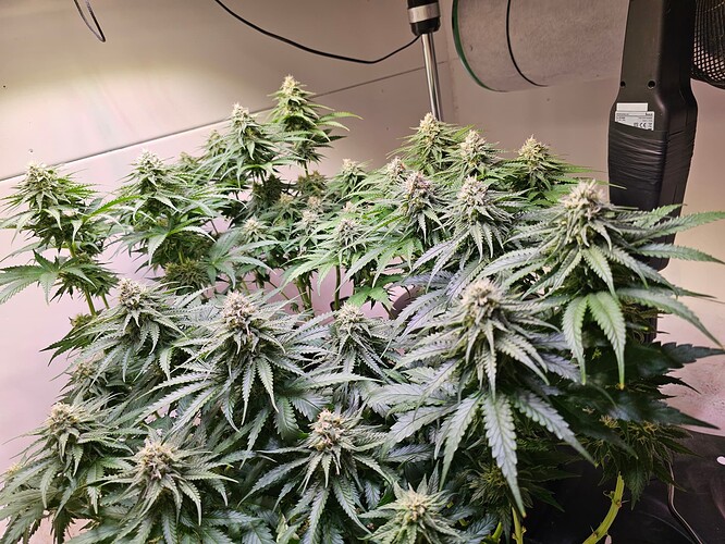 Growreport Bild 21
