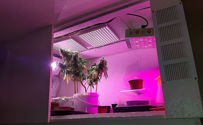 Growreport Bild 7
