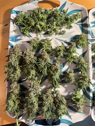 Growreport Bild 18