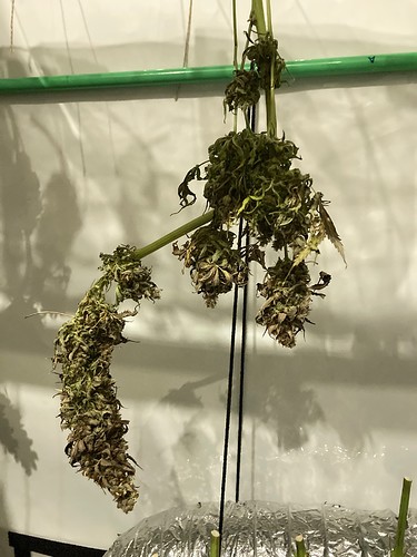Growreport Bild 12