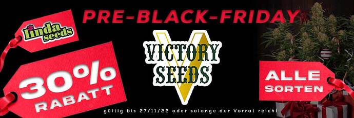 pre-black-friday-victory-german