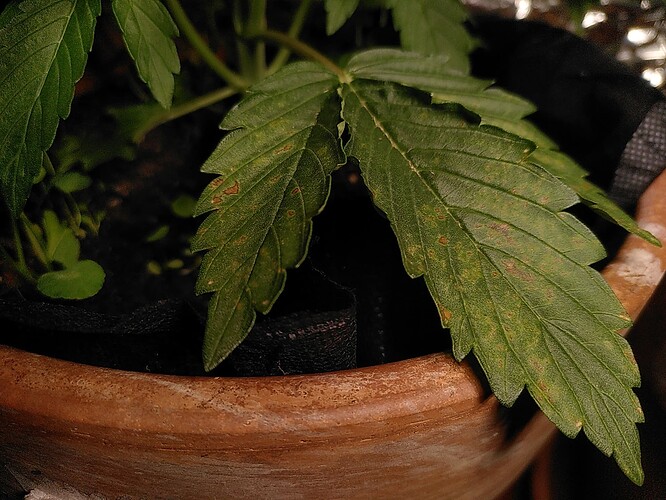 Growreport Bild 4