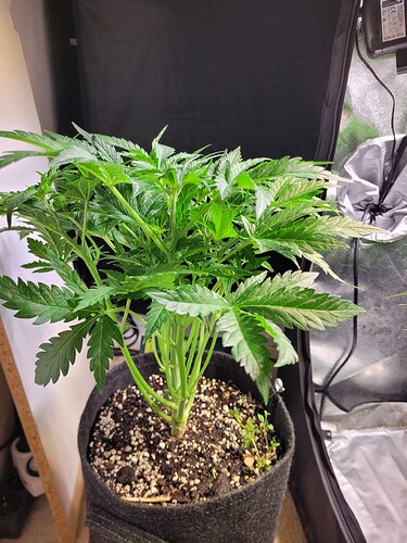 Growreport Bild 28