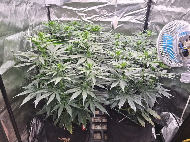Growreport Bild 17