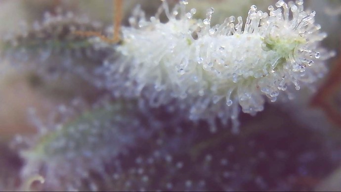 Growreport Bild 11
