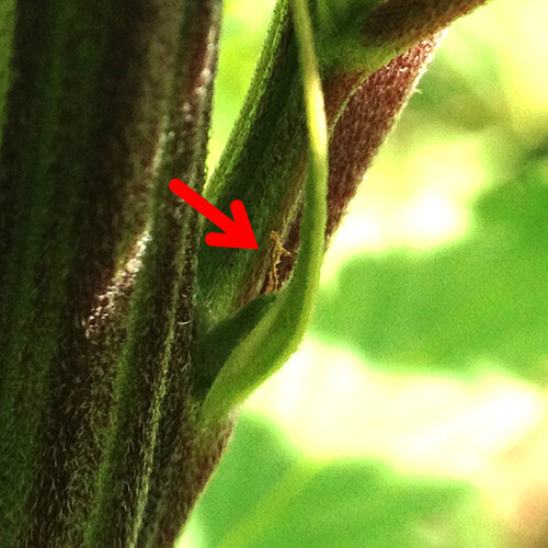 Growreport Bild 4