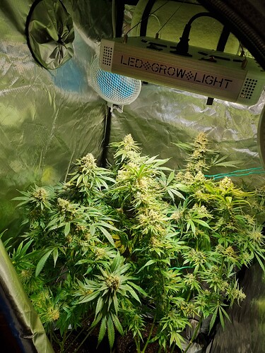 Growreport Bild 10