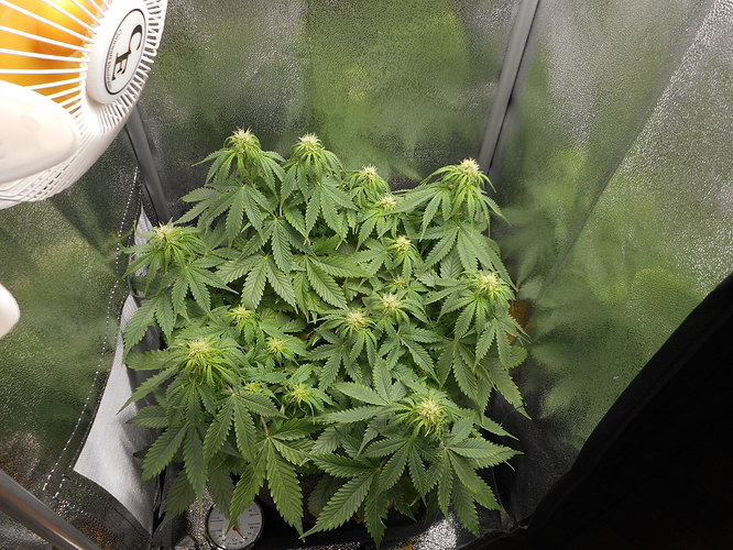 Growreport Bild 10