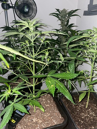 Growreport Bild 9