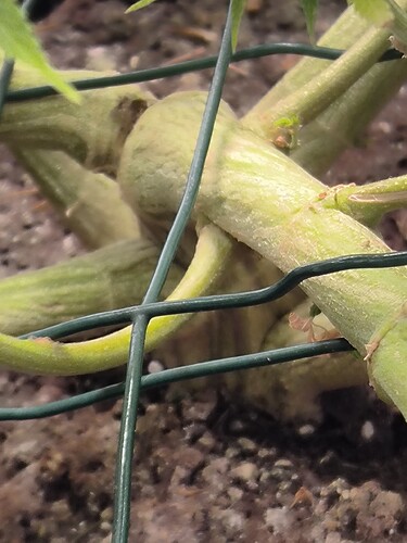Growreport Bild 5