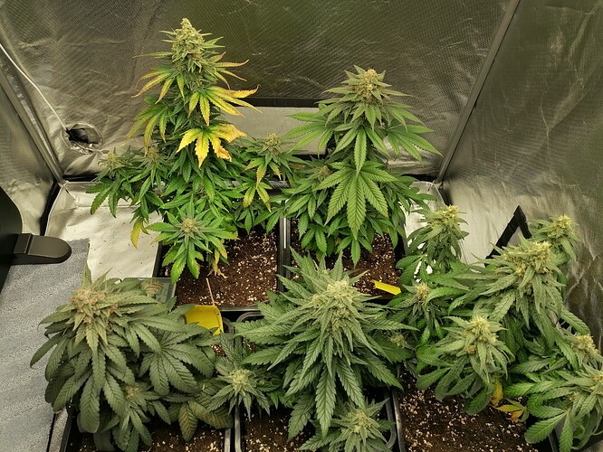 Growreport Bild 18