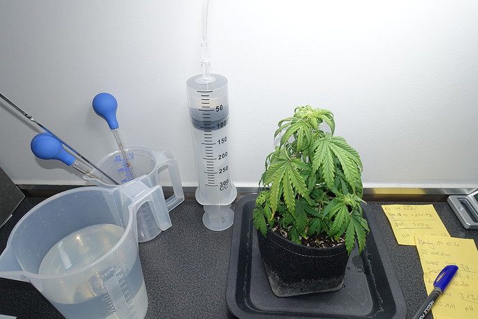 Growreport Bild 5