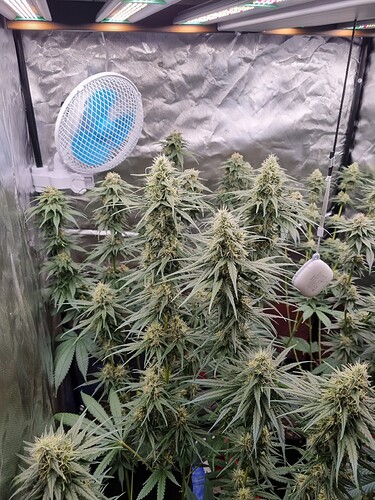 Growreport Bild 23