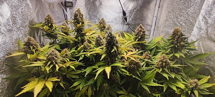 Growreport Bild 14