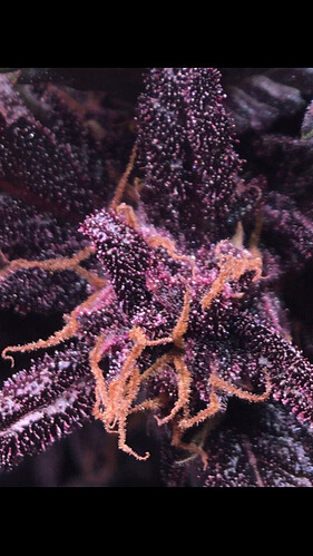 Growreport Bild 14