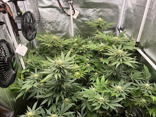 Growreport Bild 8