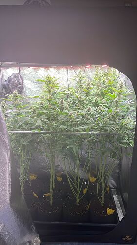 Growreport Bild 2