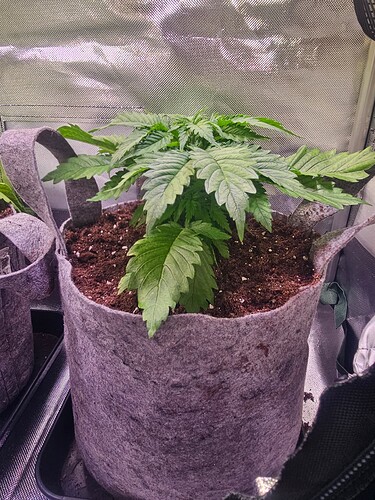 Growreport Bild 10