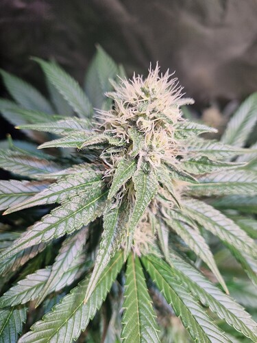 Growreport Bild 10