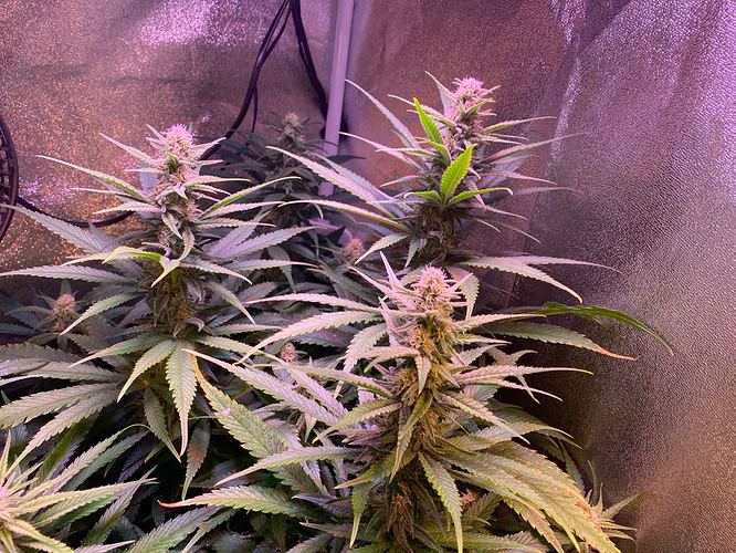 Growreport Bild 24