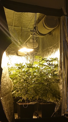 Growreport Bild 9