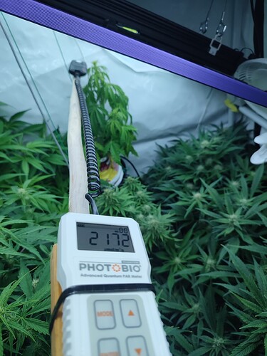 IMG_20240202_203707 - Kopie