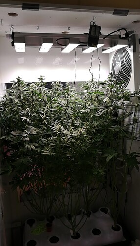 Growreport Bild 2